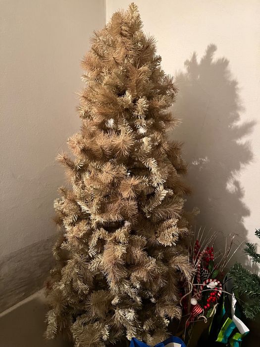 Pinheiro de Natal