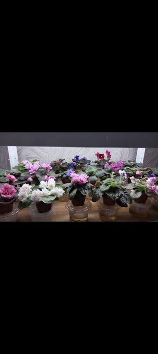 Стелаж для дому ,стелаж для квітів.