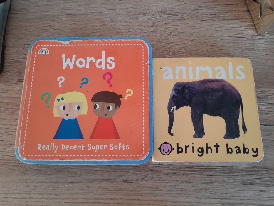 2 Ksizaczkei pierwsze slowa po angielsku dla dzieci Animals + Words