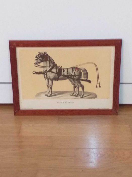 5 Screen Prints/Canvases/Engravings with Frames and Matting64729626912771122