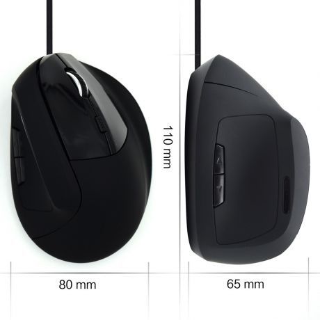 Rato Ergonómico com fio.