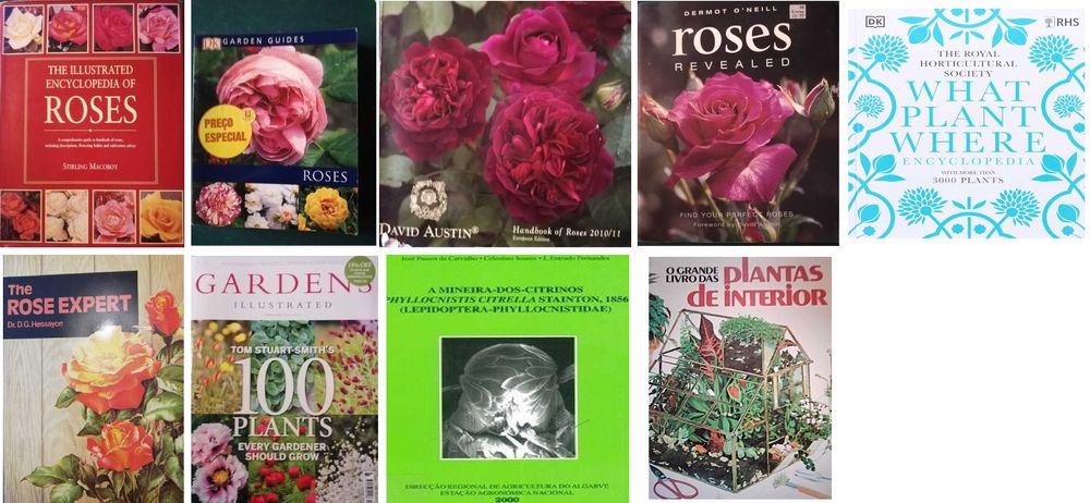 Livros-Jardinagem-Rosas-Paisagismo