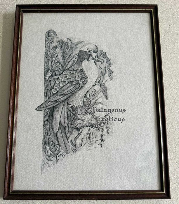 Conjunto de 6 Quadros Naturalistas - Aves Exóticas (Coleção 1982–1983)