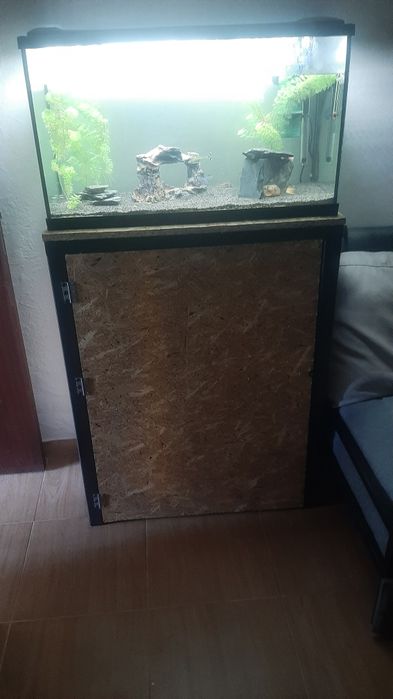 Aquario peixes  EHEIM