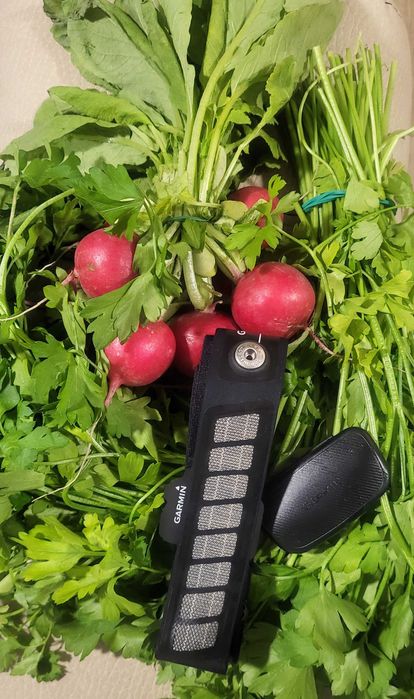 Pasek Garmin hrm dual nieużywany