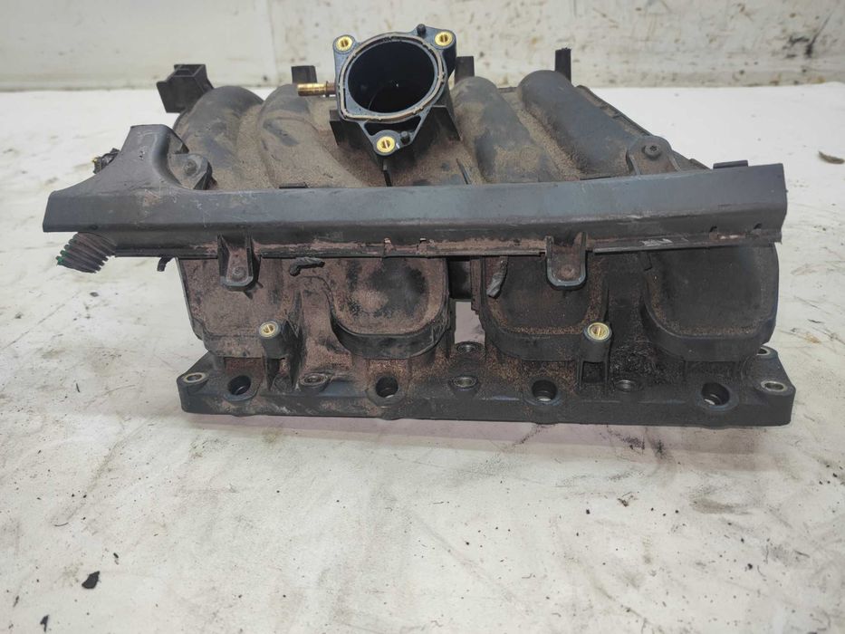 Fiat Scudo Citroen Jumpy Xsara Picasso Kolektor Ssący Dolotowy