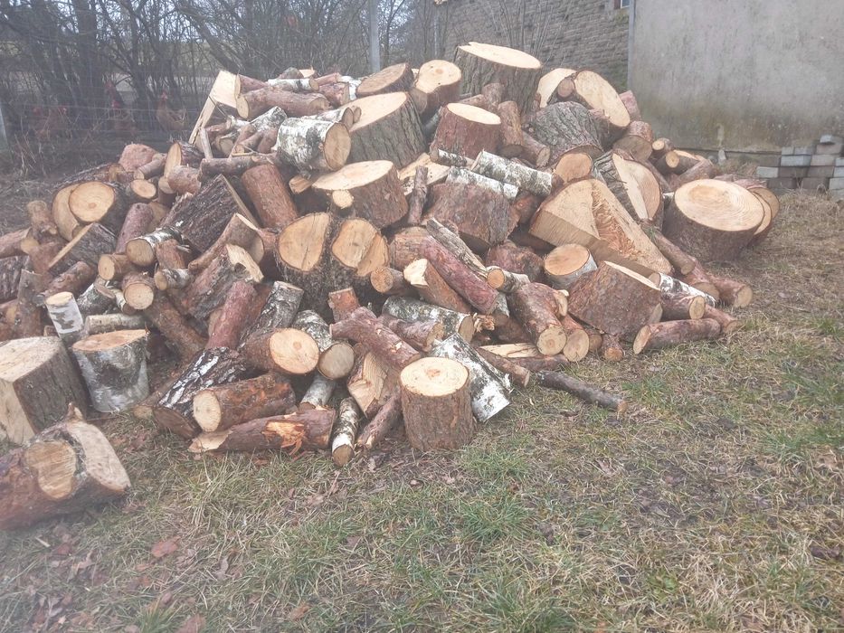 Drzewo mieszane, brzoza,dąb,sosna.