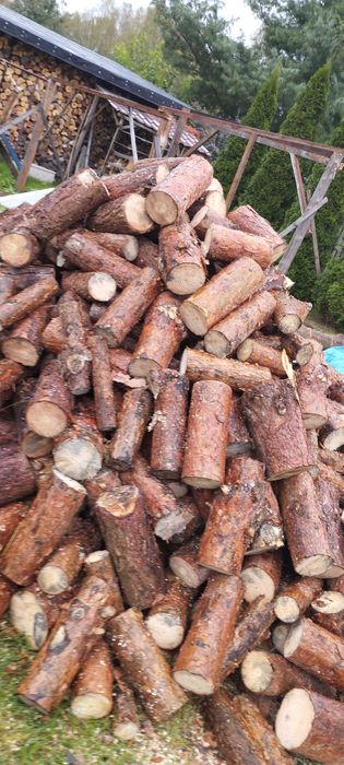Drzewo kominkowe opałowe sosna czyszczenie działek