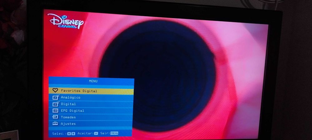 TV Sony Bravia 79cm diagonal (30)