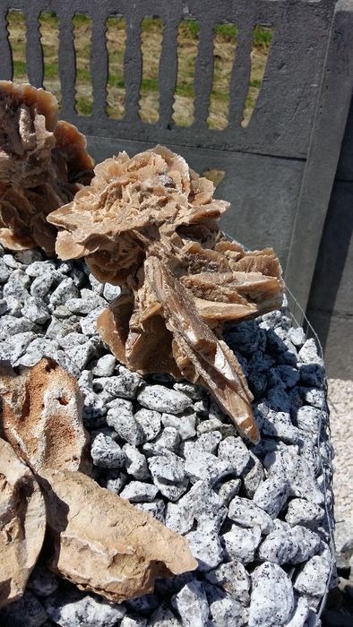 GRYS GRANITOWY Dalmatyńczyk 16-22 lub 8-16 Kurier Gratis