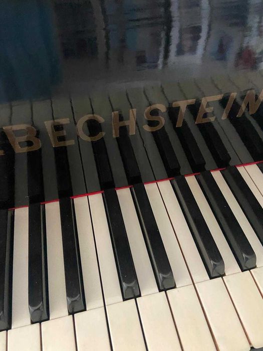Piano Bechstein bem tratado