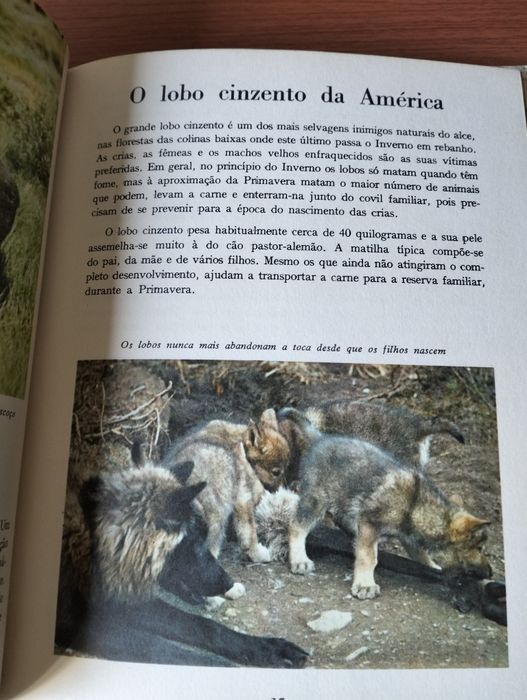 Livro Animais do Far-West