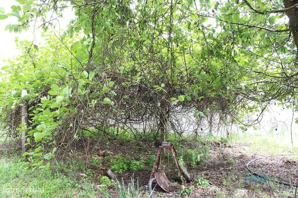 Lote de Terreno