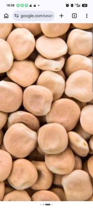 Tremoços secos ou prontos a comer