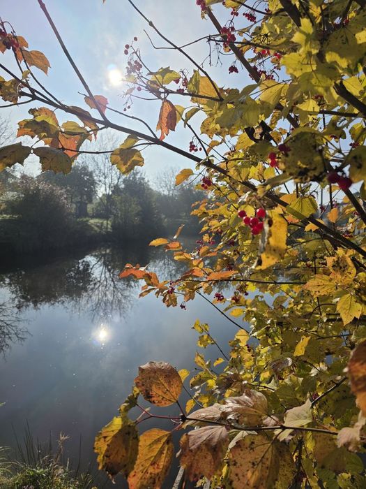 Продаж дачі  в Новій Українці !