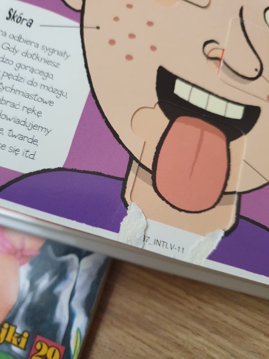 Zestaw książek dla dzieci