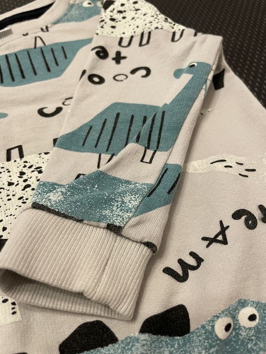 Bluza niemowlęca w dinozaury roz 80
