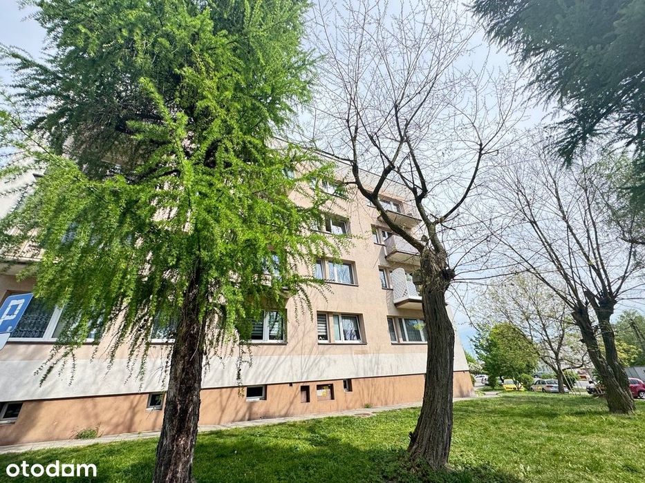 Jasne przestronne dwa pokoje Orłowiec