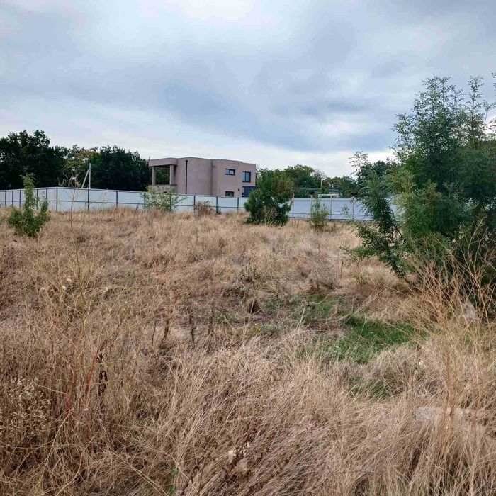 Участок в Лесках