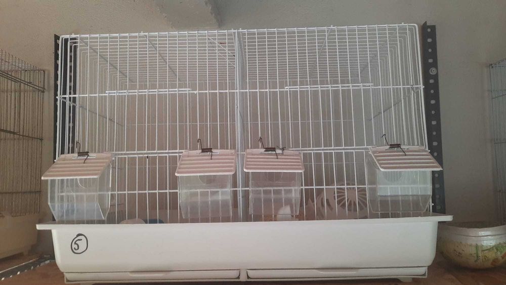 Vendo gaiolas/criação