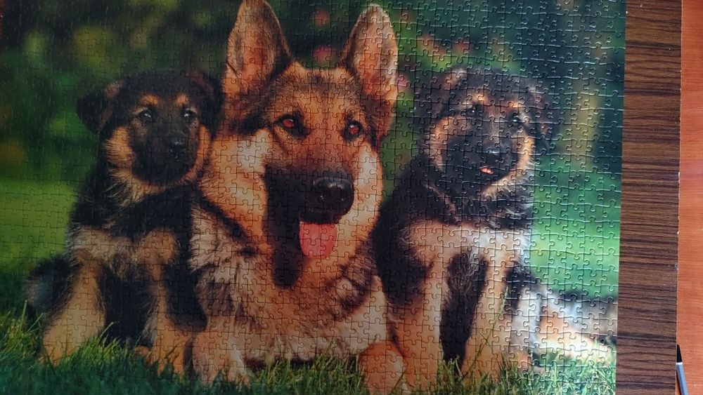 Puzzle 1000 sztPsy.Ravensburger kompletne