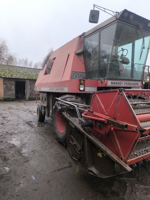 Kombajn zbożowy Massey Ferguson 31xp