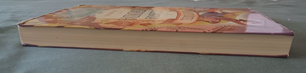 Rapunzel e a lagoa perdida