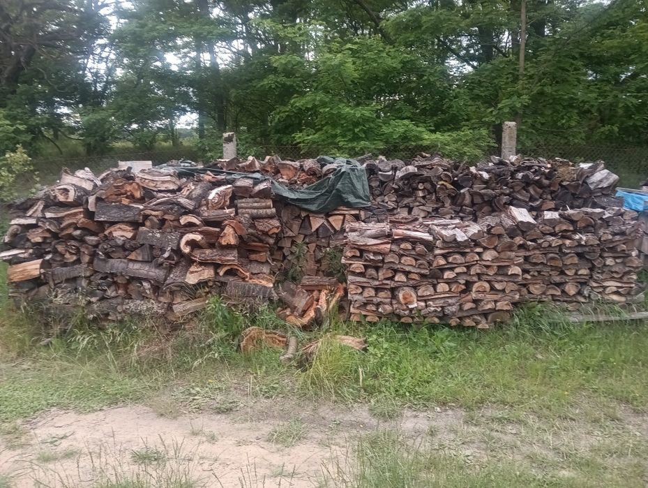 Drewno opałowe czereśnia, wiśnia do wędzenia