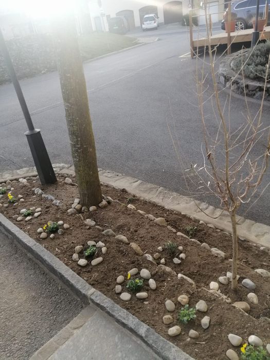 Reparações, remodelações, Jardinagem,  Limpeza em Viana do Castelo