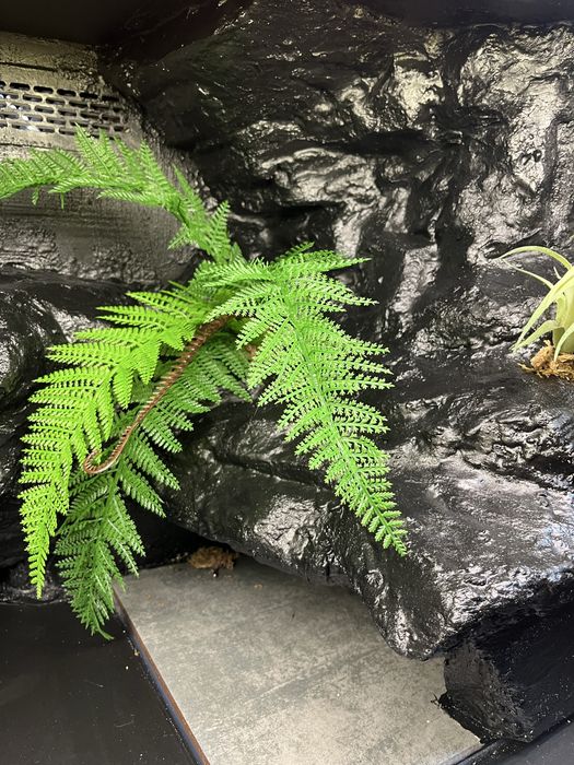 Terrarium na zamowienie.