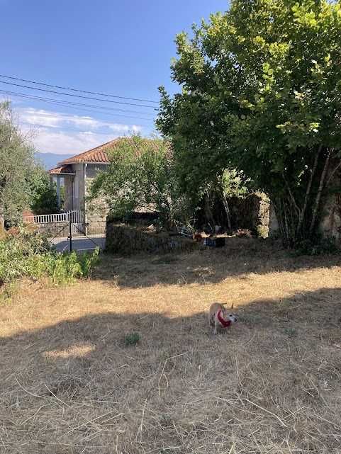 Quinta com Vista Deslumbrante para a Serra da Estrela