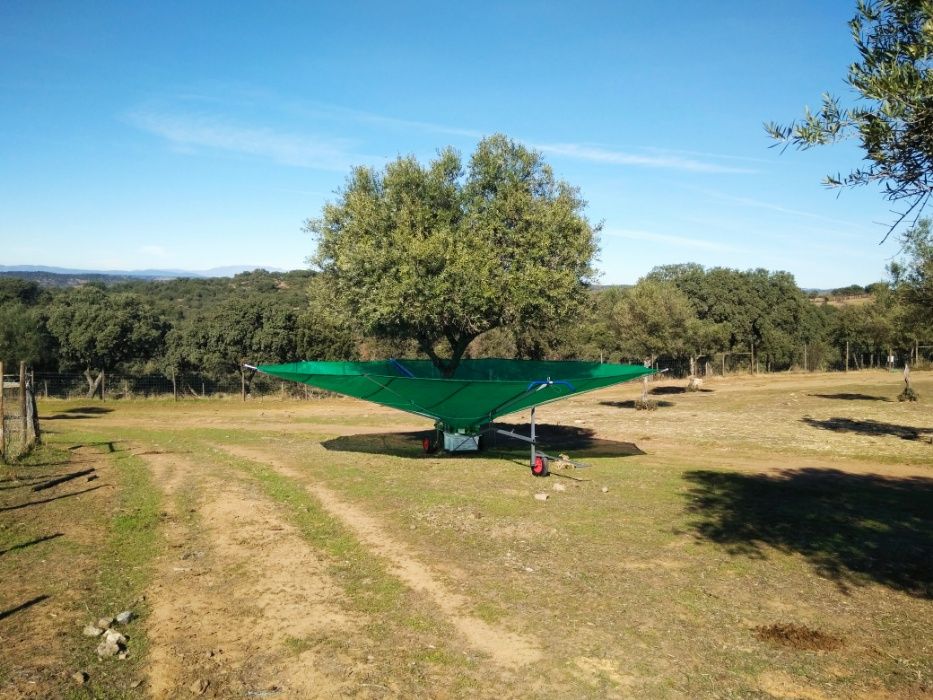 Olitree-Apanha azeitona-Toldos-Panais-Amêndoa-Panos-toldes-apara fruto