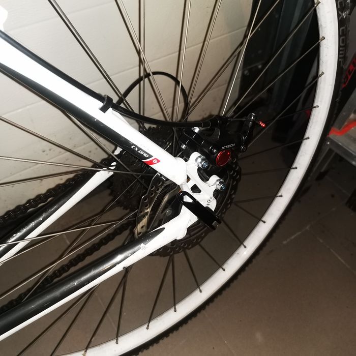 Rower Accent CX ONE 54