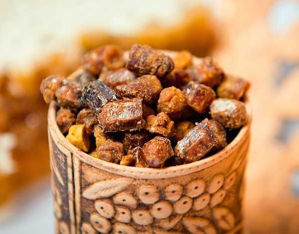 Пчелиная перга 2023