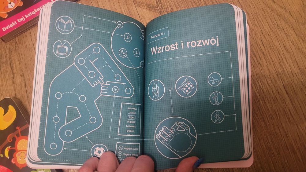 Szkrab-instrukcja obsługi (dla programisty, inżyniera i innych ;)  )