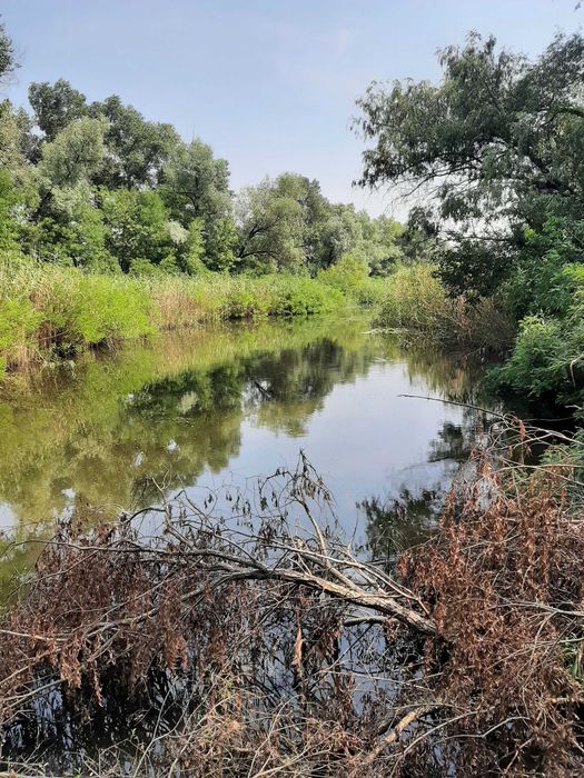 Сдам 2-3й этажи в доме в Соловьиной роще возле воды. Без мебели