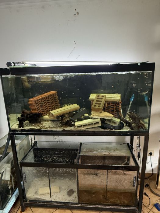 Aquarios diversos tamanhos