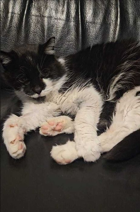 Cichutki aniołek skazany na śmierć — LUSIA