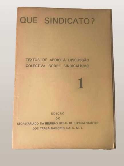 Typewritten Document "Which Union?", Volume I – September 1974