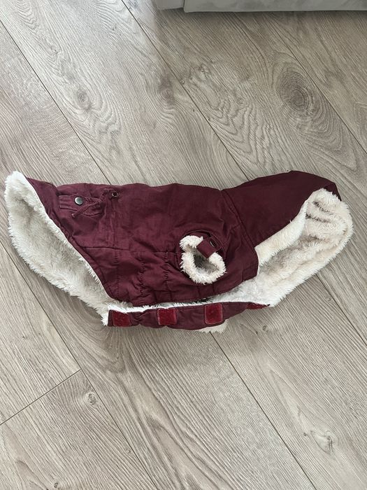 Одежда для собачки