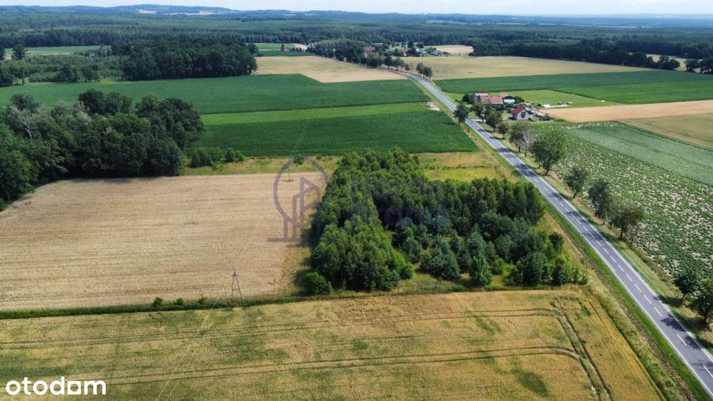 Działka budowlana 1480 m2 | Drołtowice