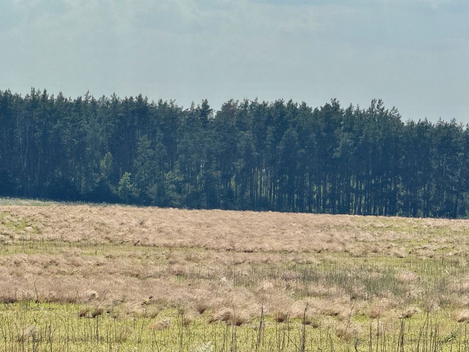Земельна ділянка 27 га! Андріївка.