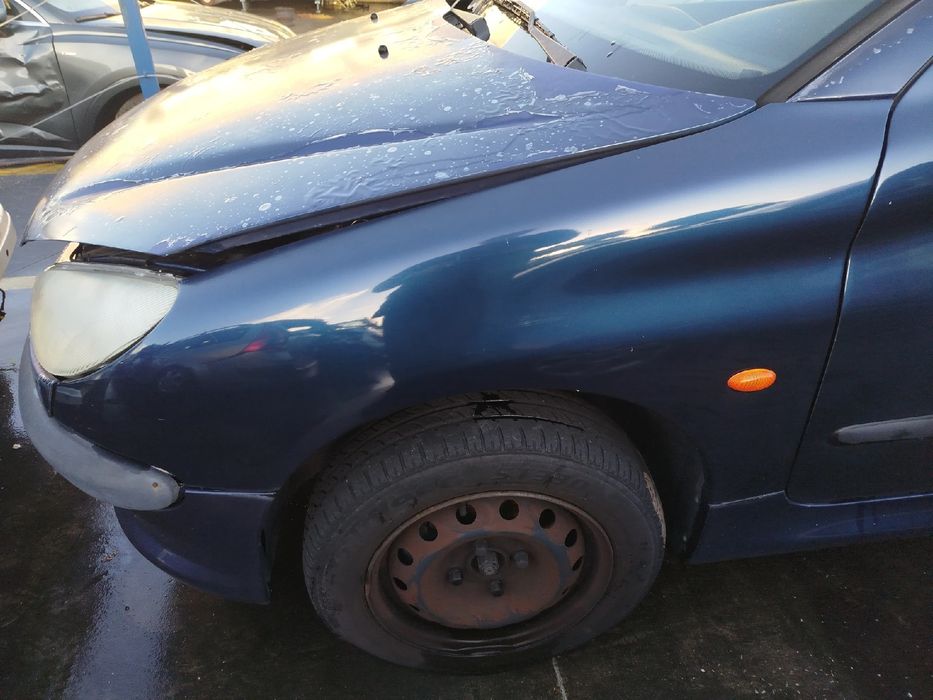 Guarda-lamas esquerdo PEUGEOT 206 (2A/C)
