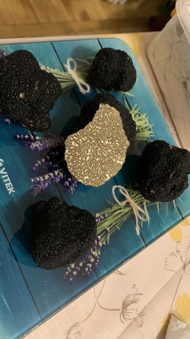 Трюфель Італія чорний свіжий, гриб черный, Tuber Melanosporum