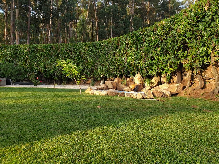 Serviços de JARDINAGEM