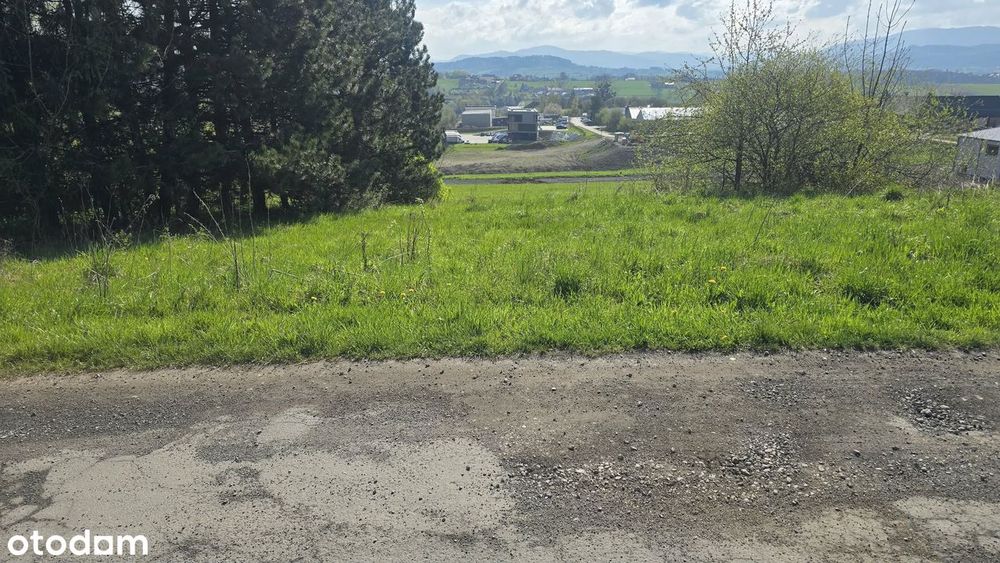 Teren inwestycyjny 29,52a w Cieszynie Krasnej.