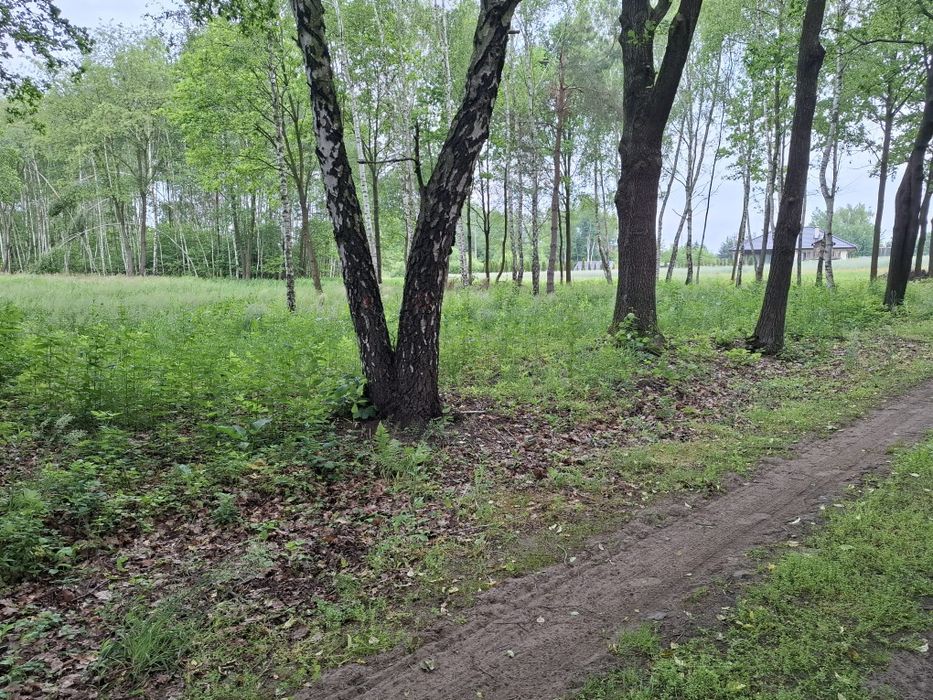Sprzedam działkę z Warunkami Zabudowy