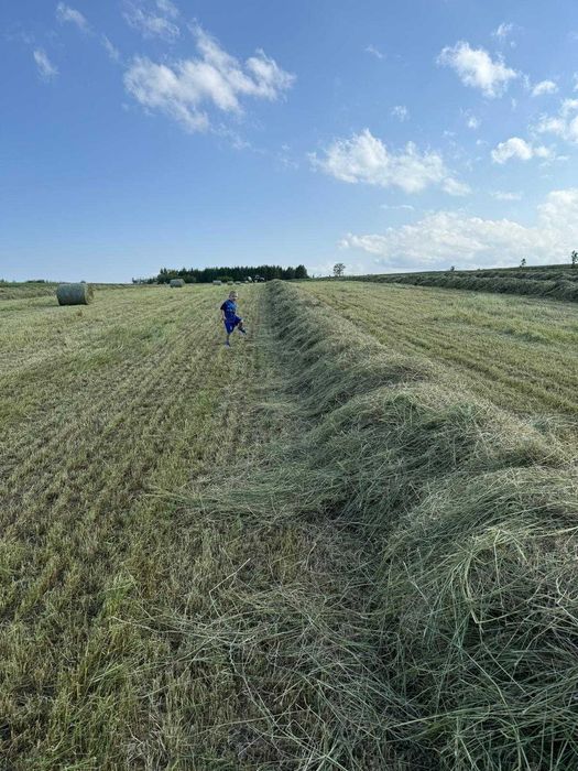 Sianokiszonka siana pod Konie LUX