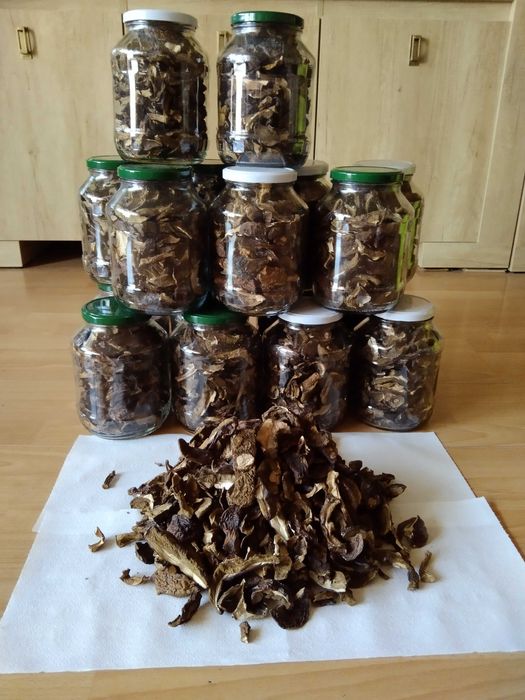 Grzyby suszone Podgrzybki