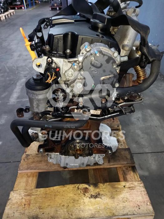MOTOR VOLKSWAGEN POLO 1.4TDI 70CV, REF: BNM